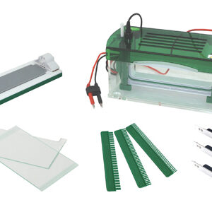Rapid SSR Vertical Electrophoresis YG1579