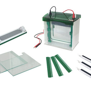 Rapid SSR Vertical Electrophoresis Tank YG1580